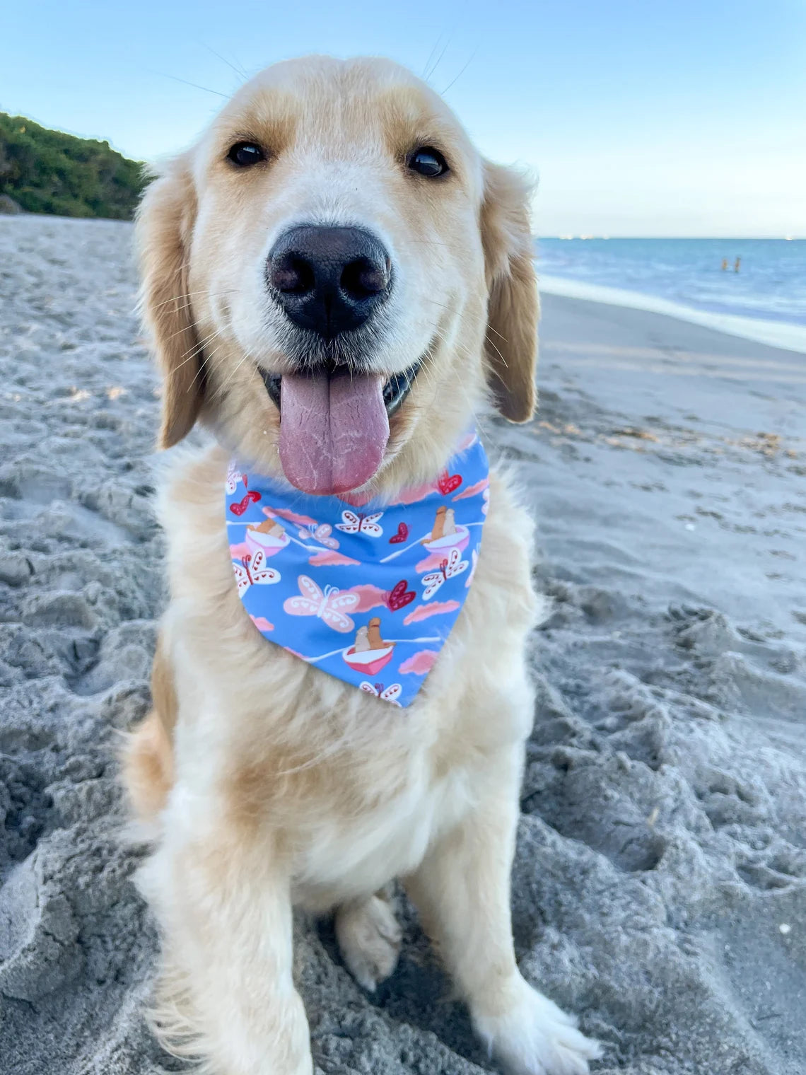 Love Boat Plaid Blue Bandana