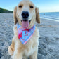Love Boat Plaid Blue Bandana