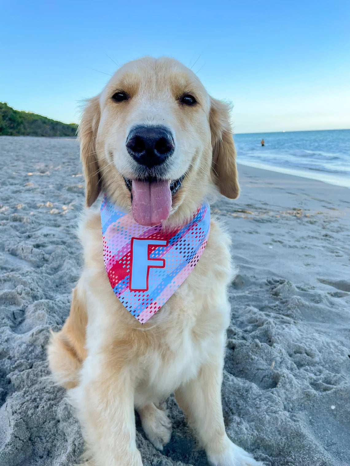 Valentines Animal Print Blue Bandana
