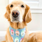 Ferbearge Eggs Bandana