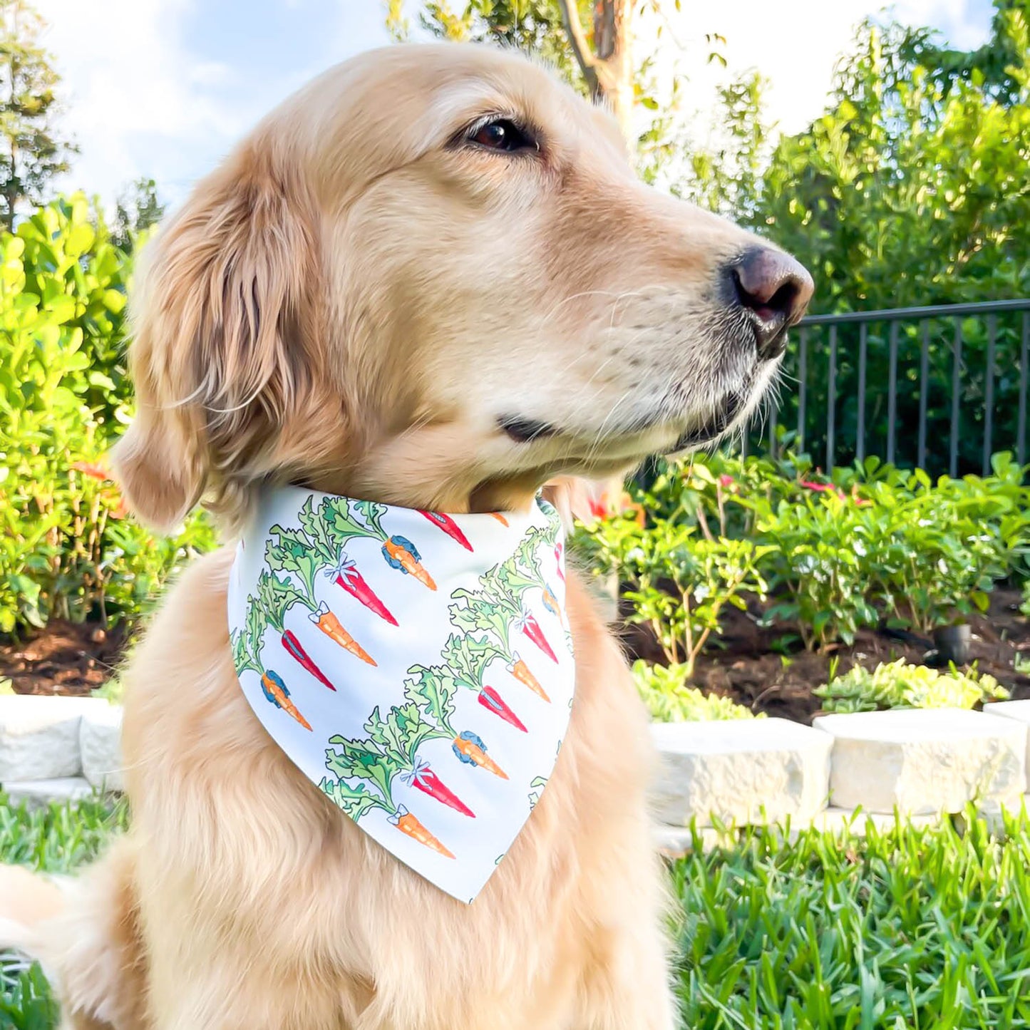 Easters Finest Carrots Bandana