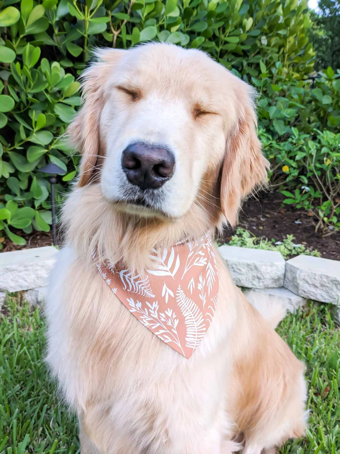 Boho Ferns Bandana