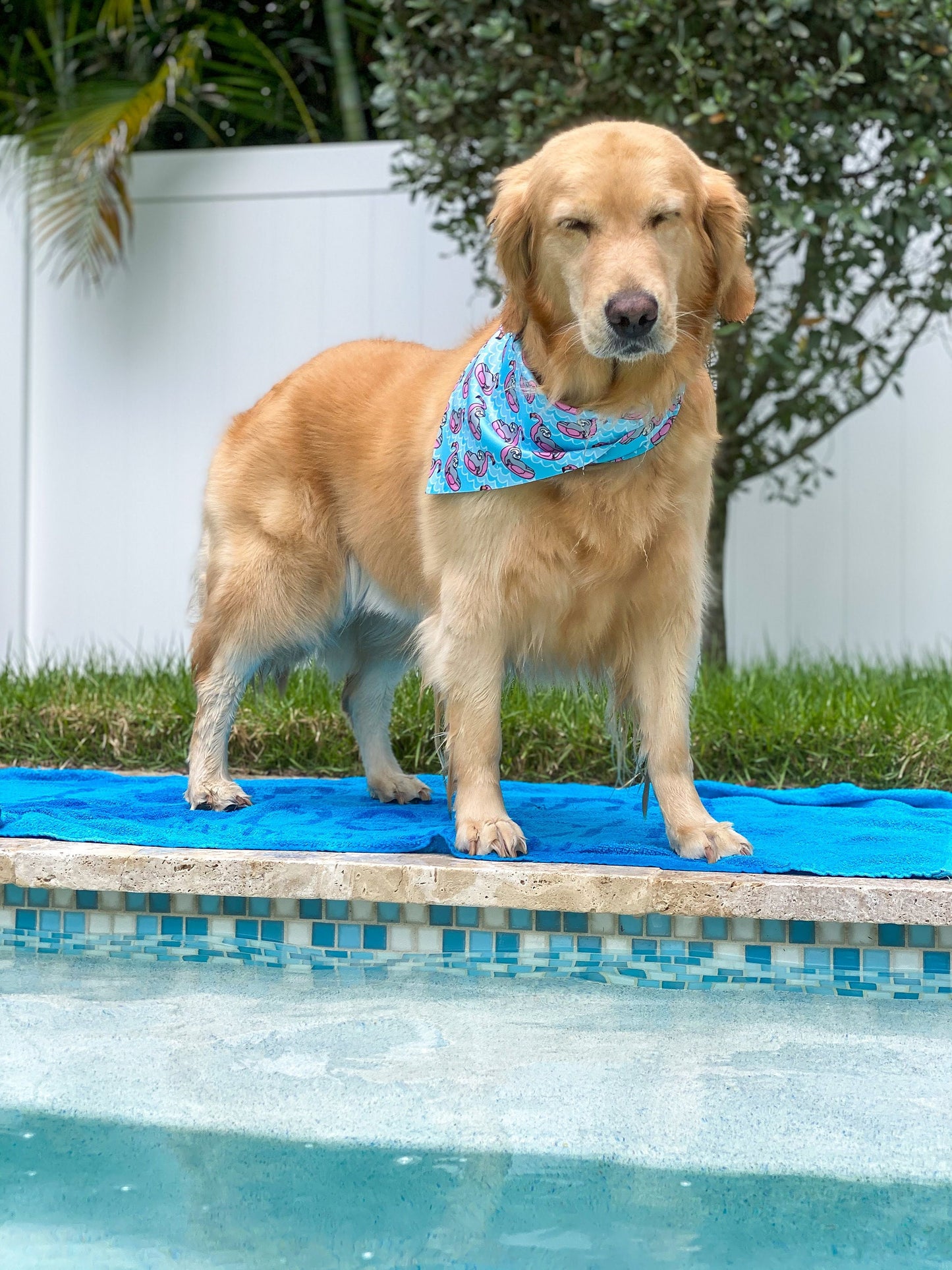 Lazy Sunday Bandana