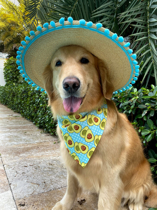 Avocuddle Bandana