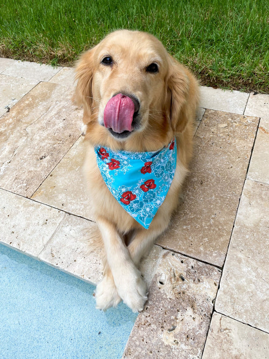 Poppy Party Bandana