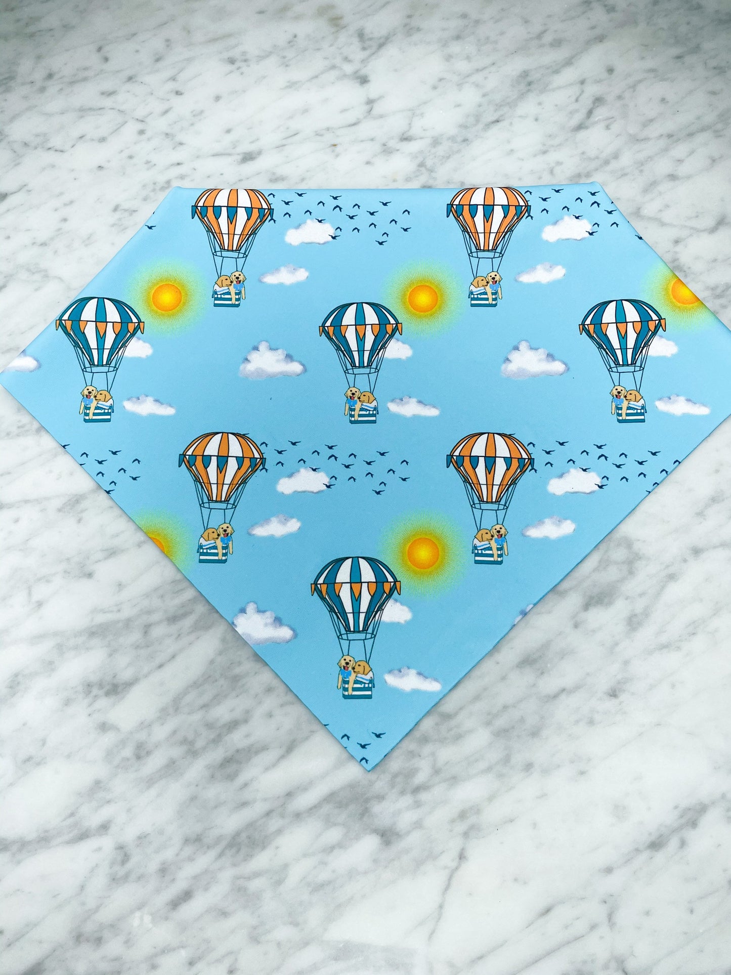 Floating on Up Balloon Bandana