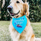 Sweeter than Pie Blueberry Bandana