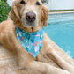 In the Seaweeds Bandana