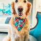 Letterman Pie Monogram Bandana