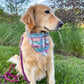 All A Buzz Bandana
