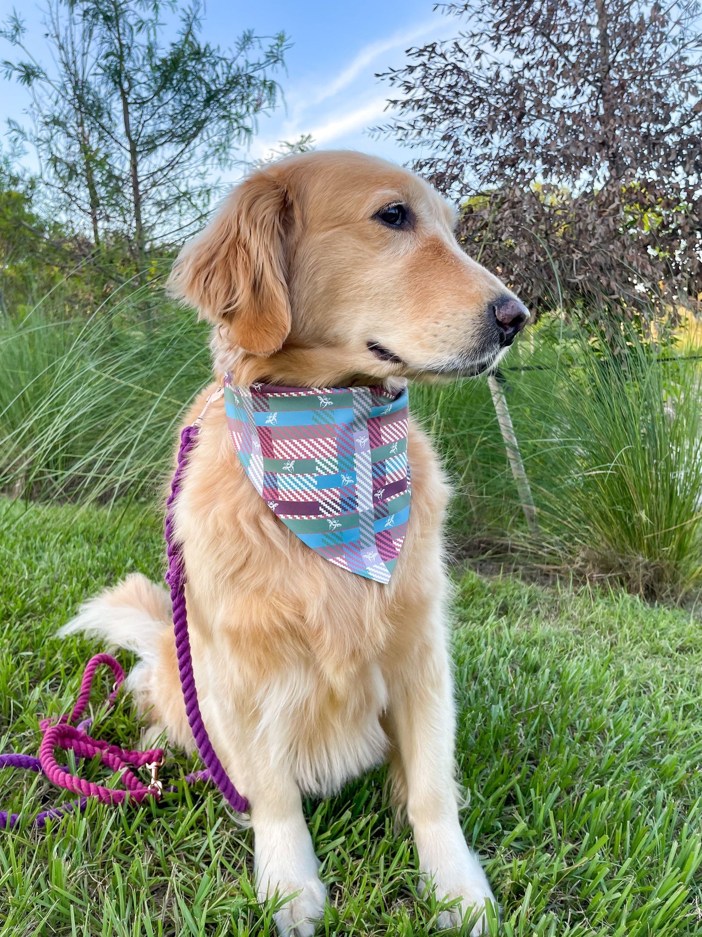 All A Buzz Bandana