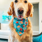 Letterman Pie Monogram Bandana