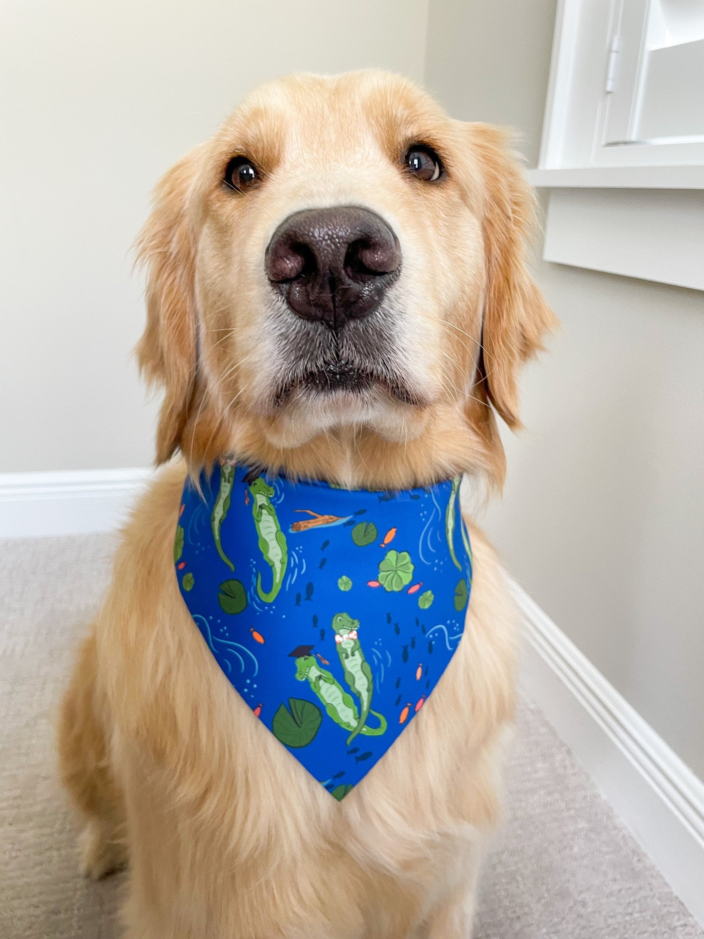 Gator Chomp Bandana Ferry Fancy