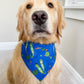 Gator Chomp Bandana