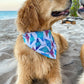 Moody Mantas Bandana