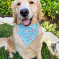 Strawberry Fields Bandana