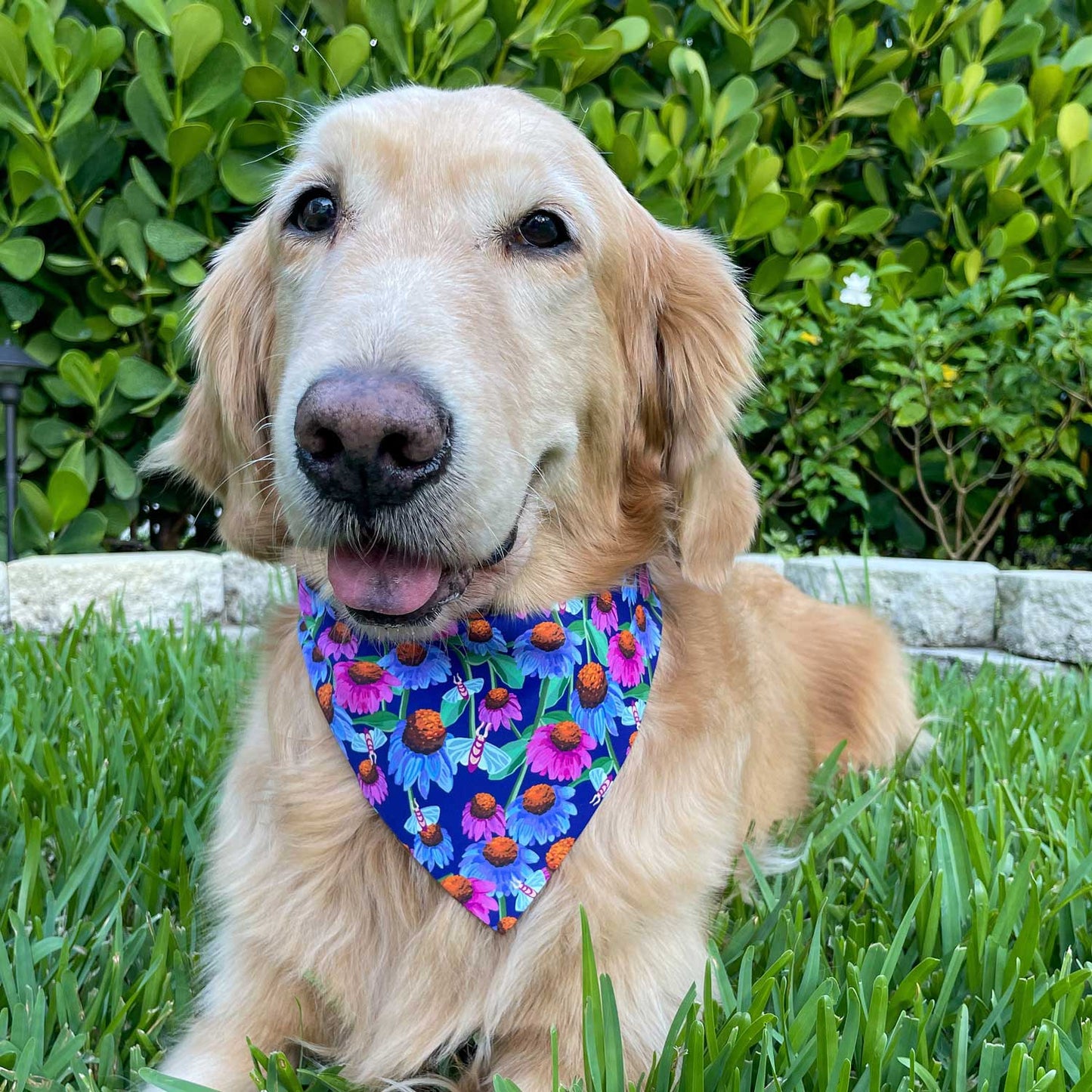 Cone Flower Flight Bandana